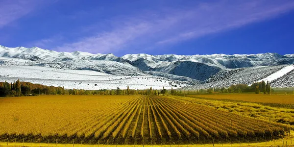 SAN RAFAEL Y MENDOZA