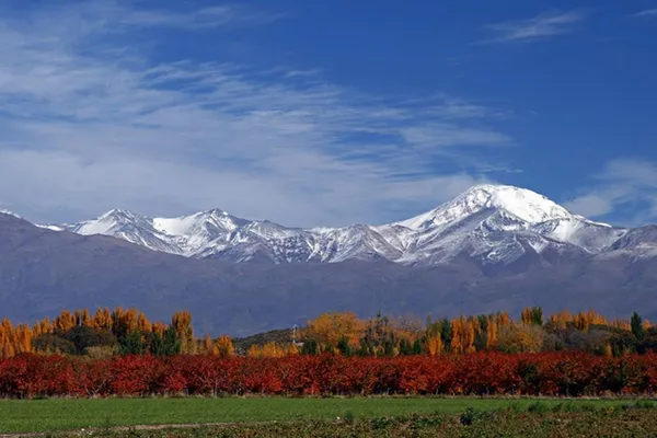 Cuyo